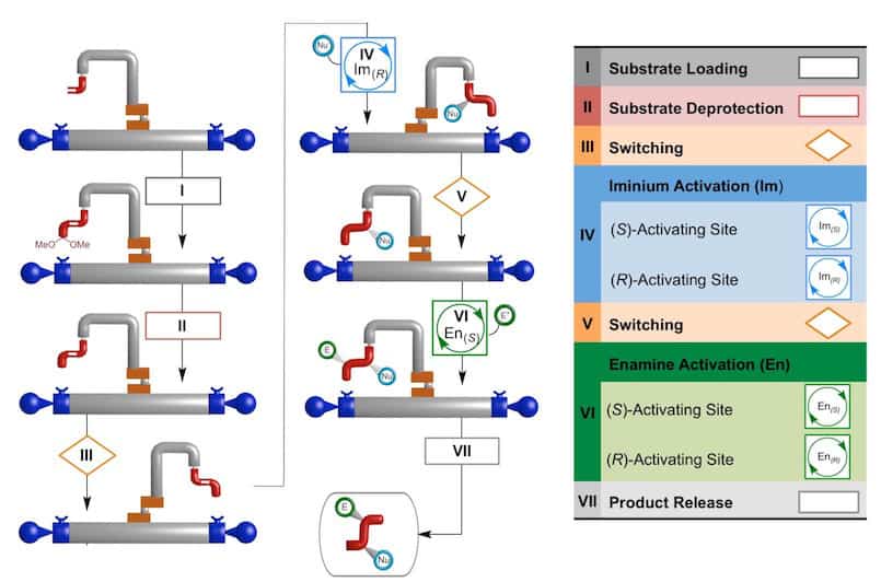 A schematic of the operation of a molecular robot shows the position of the cargo arm in seven stages of operation