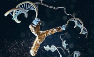 DNA_nanomachine_Tripodi
