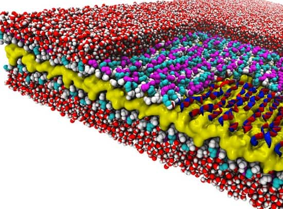 PeptoidNanosheet_550
