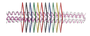 Three-helix-bundle_300