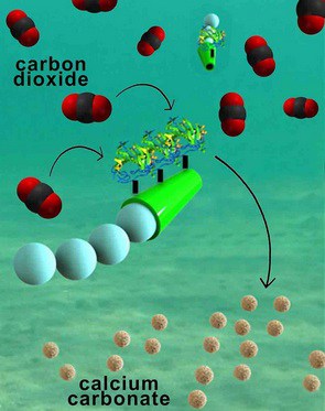 UCSanDiegoMicromotor