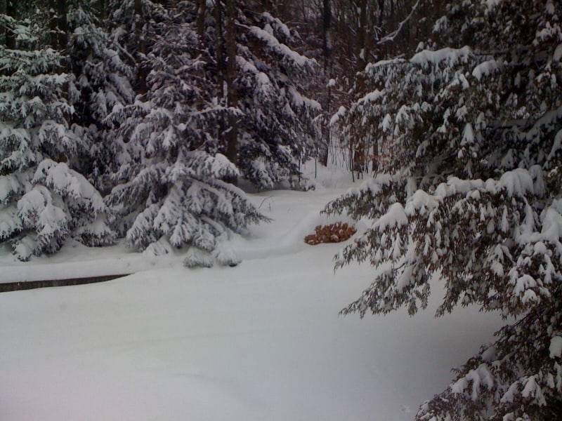 snow