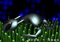 Cilia1