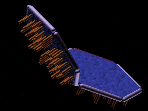 EndocyteFB2