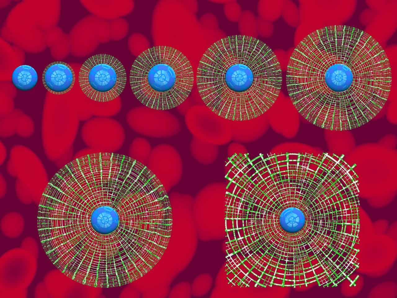 Fibots19_1280