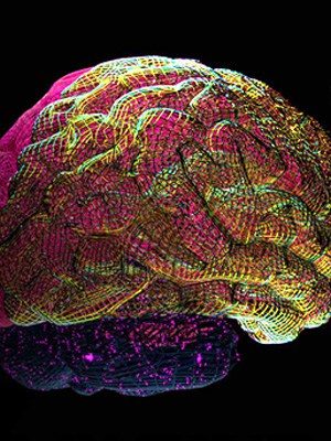 shop-neurotech